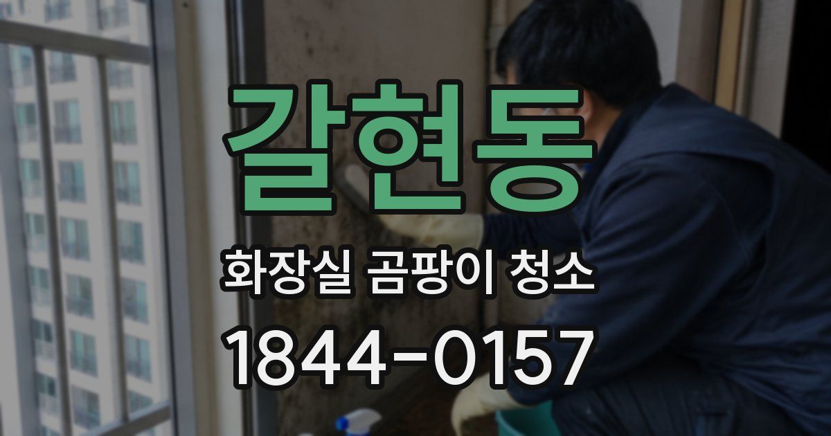 갈현동 화장실 곰팡이 청소