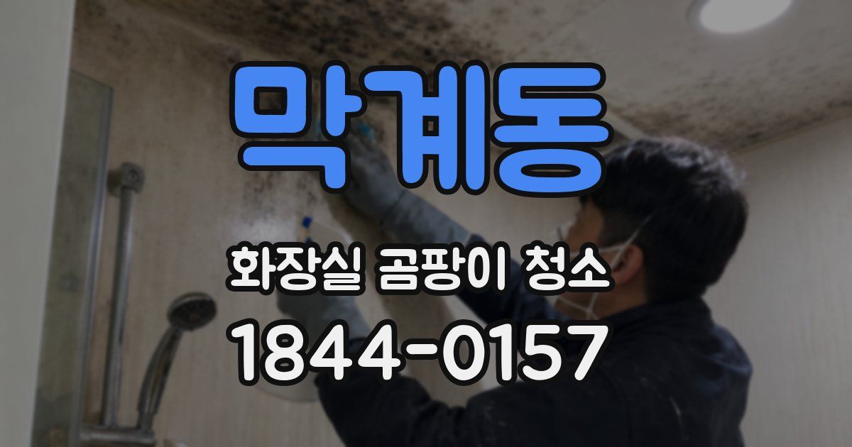 막계동 화장실 곰팡이 청소