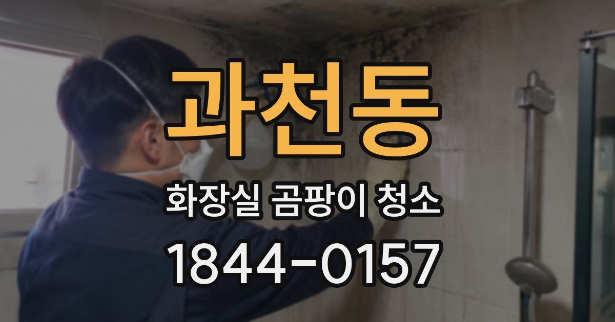 과천동 화장실 곰팡이 청소