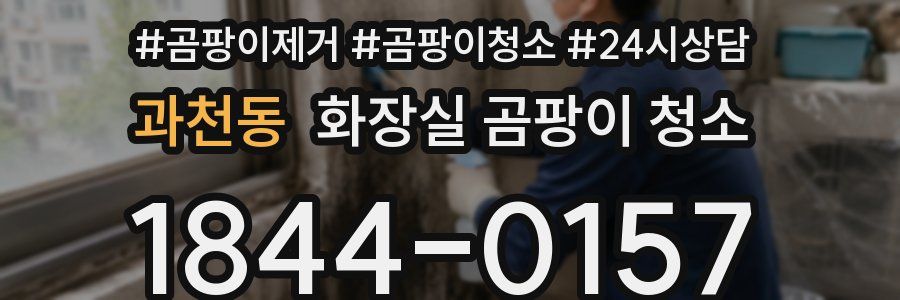 과천동 화장실 곰팡이 청소