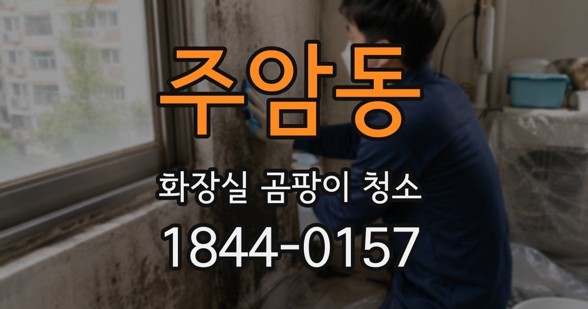 주암동 화장실 곰팡이 청소