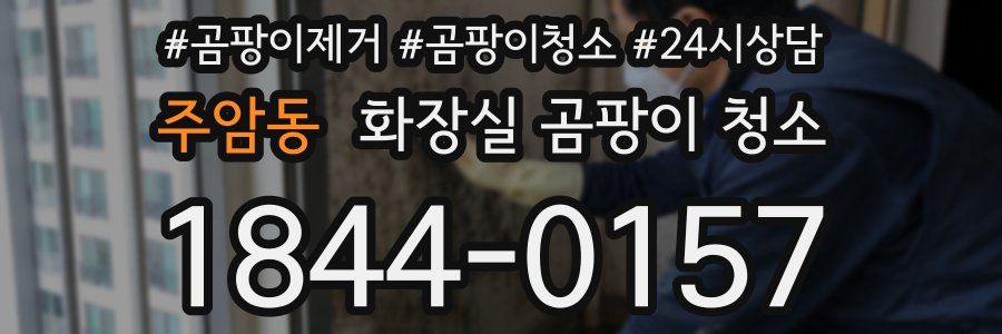 주암동 화장실 곰팡이 청소