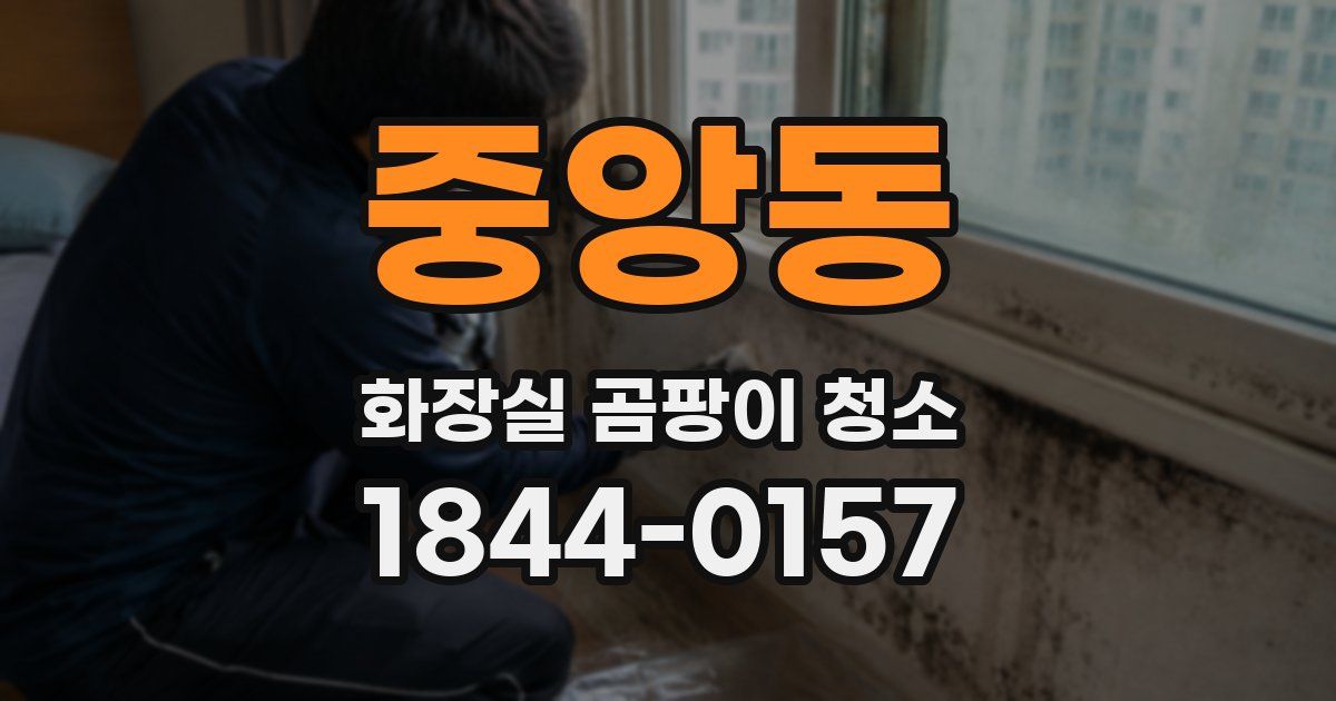 중앙동 화장실 곰팡이 청소
