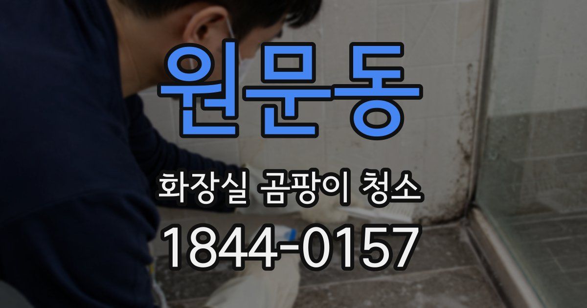 원문동 화장실 곰팡이 청소
