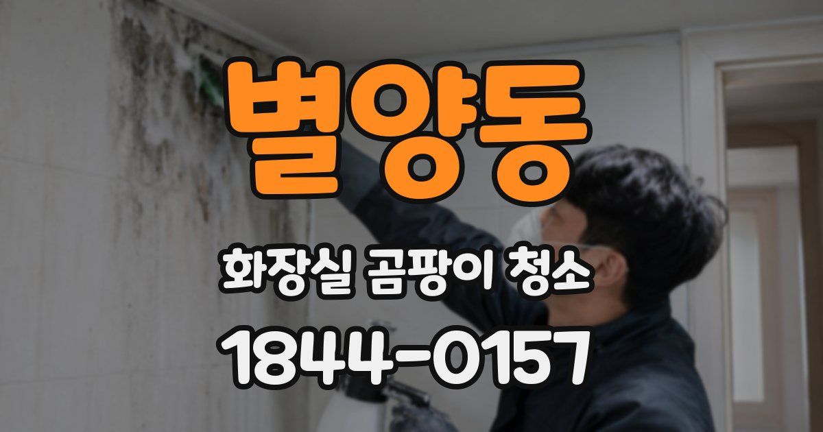 별양동 화장실 곰팡이 청소