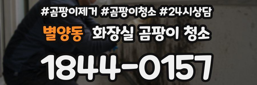 별양동 화장실 곰팡이 청소