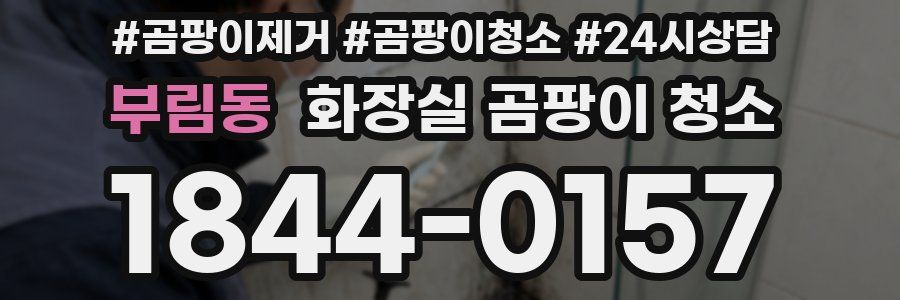 부림동 화장실 곰팡이 청소