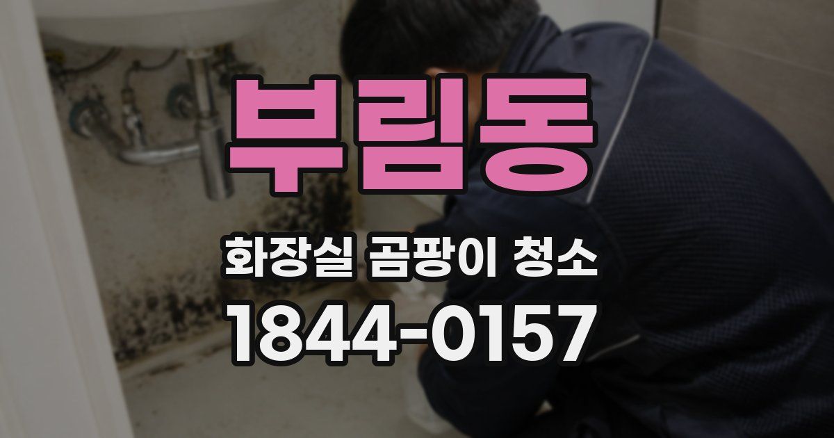 부림동 화장실 곰팡이 청소