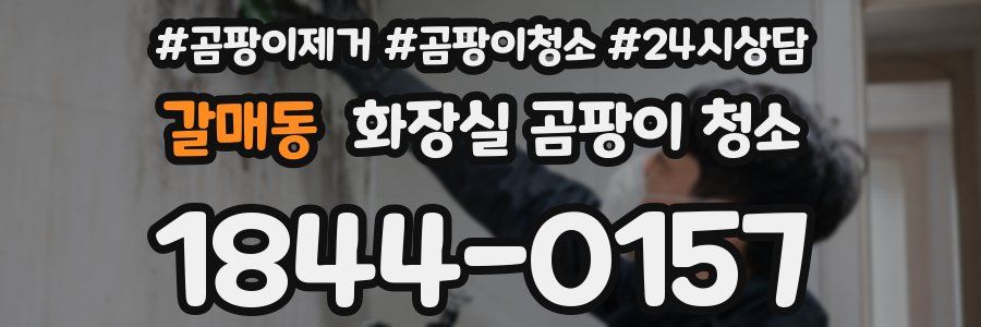 갈매동 화장실 곰팡이 청소