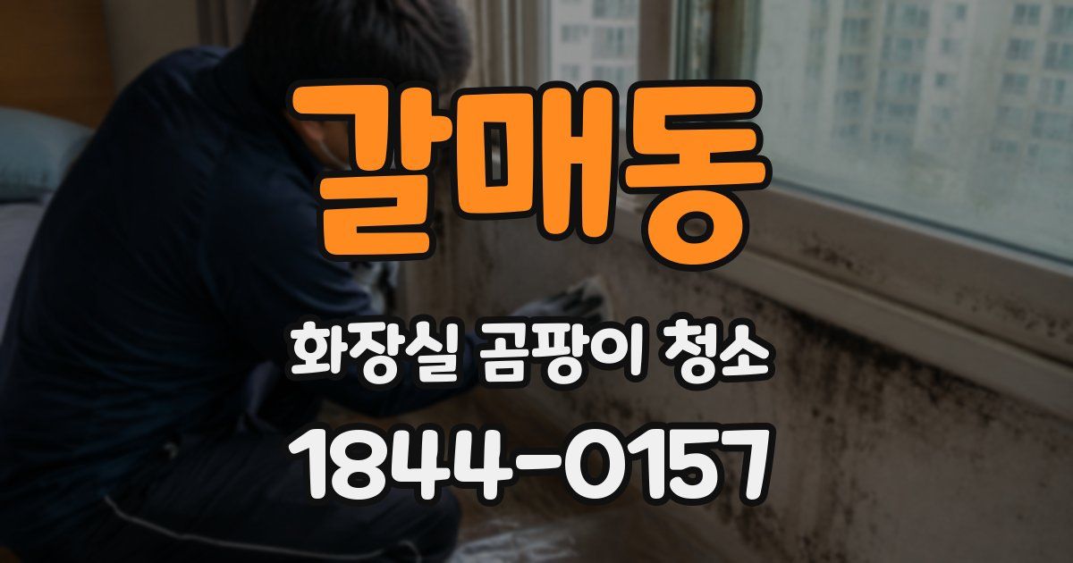 갈매동 화장실 곰팡이 청소