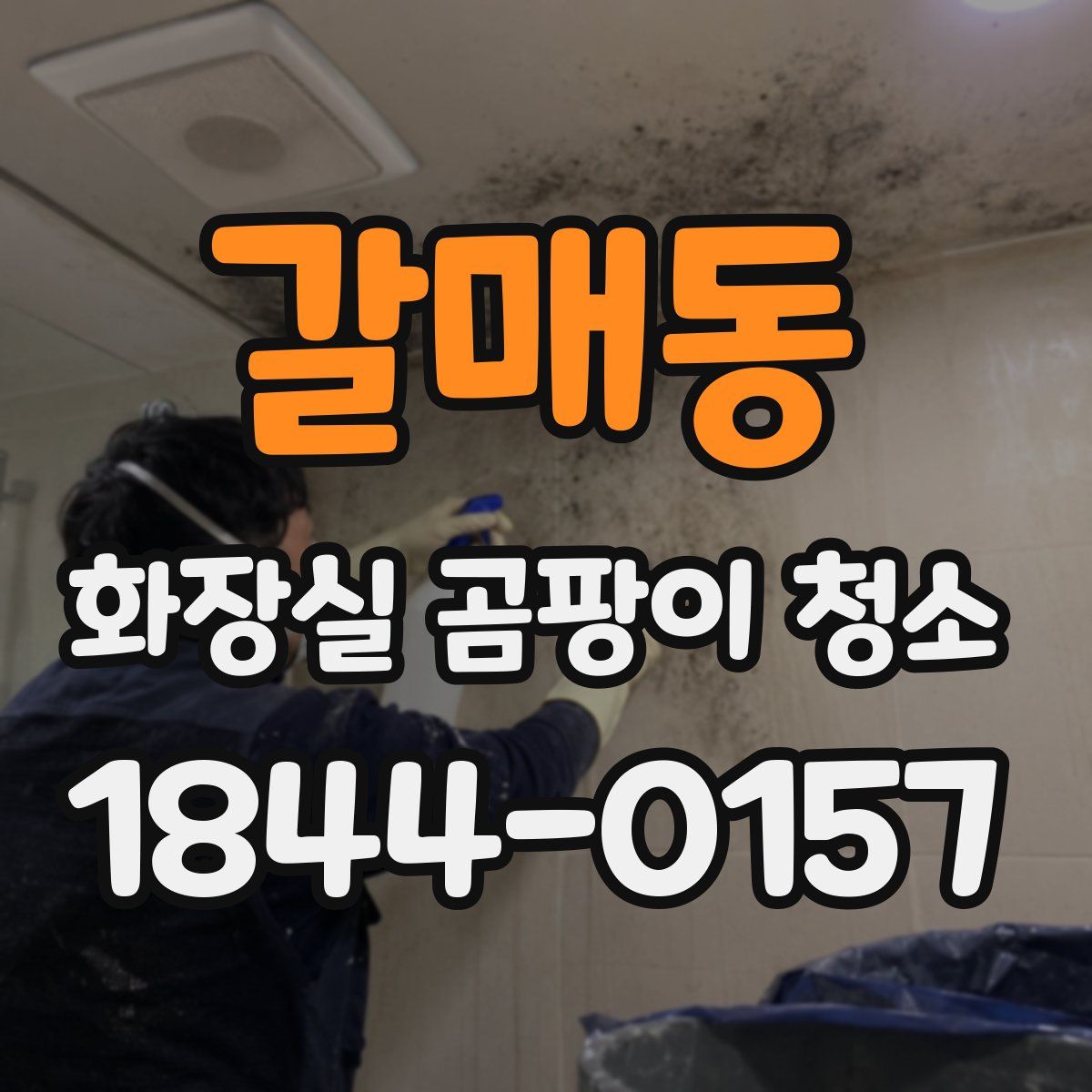 갈매동 화장실 곰팡이 청소