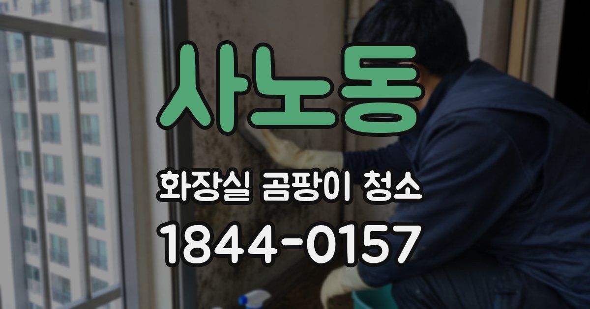 사노동 화장실 곰팡이 청소
