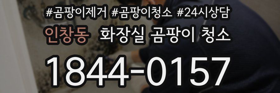 인창동 화장실 곰팡이 청소