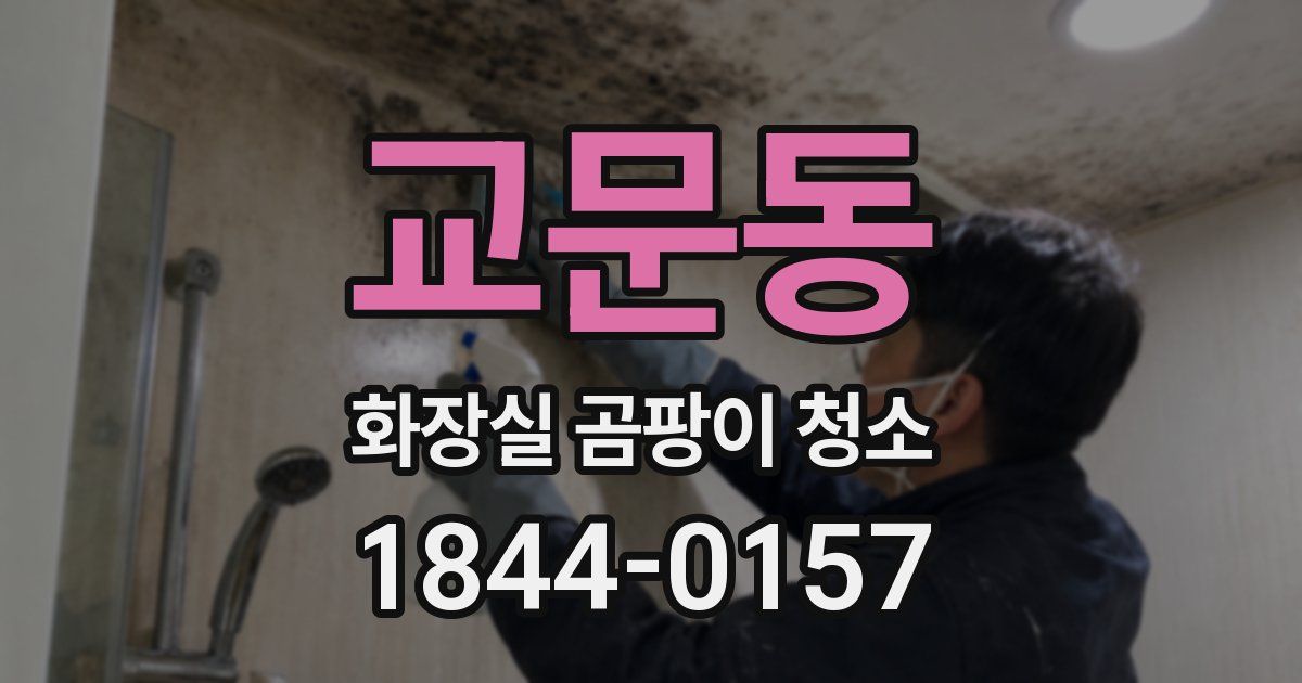교문동 화장실 곰팡이 청소