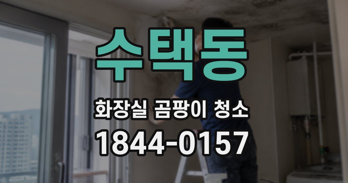 수택동 화장실 곰팡이 청소