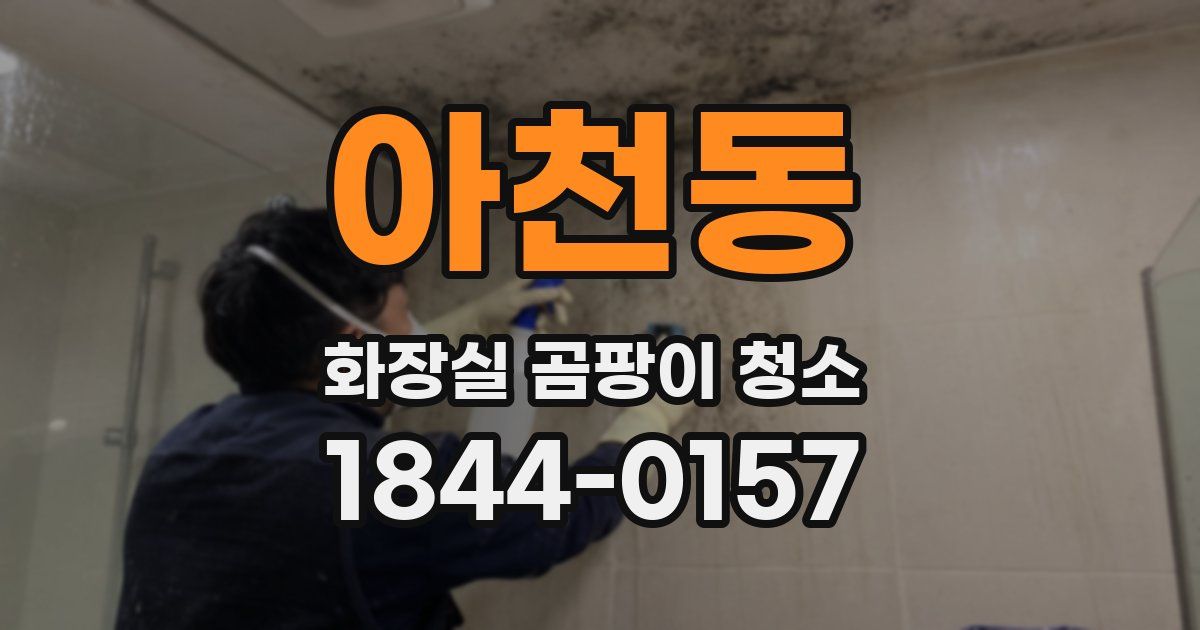 아천동 화장실 곰팡이 청소