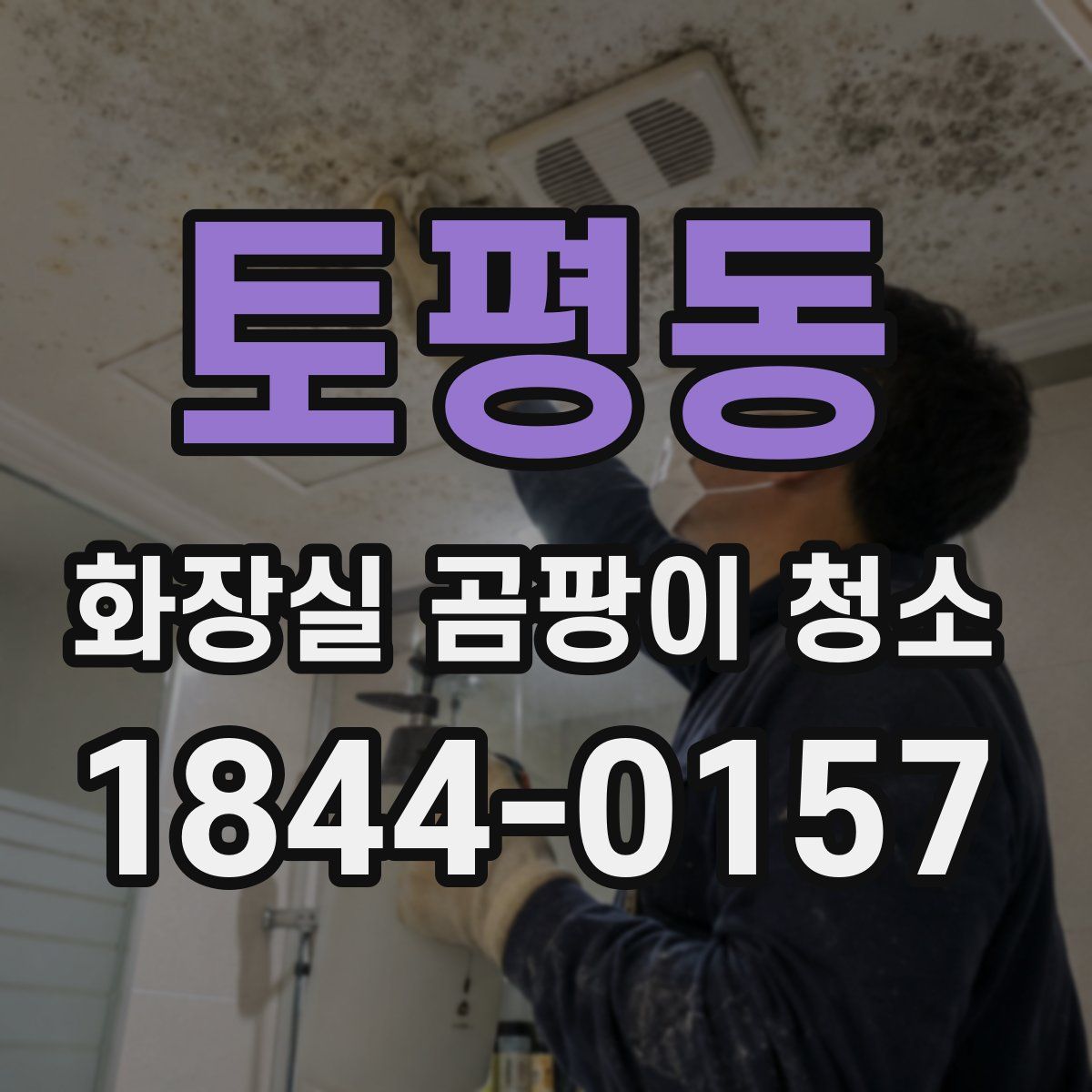 토평동 화장실 곰팡이 청소