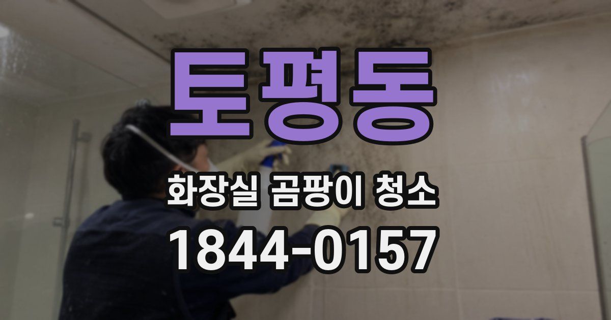 토평동 화장실 곰팡이 청소