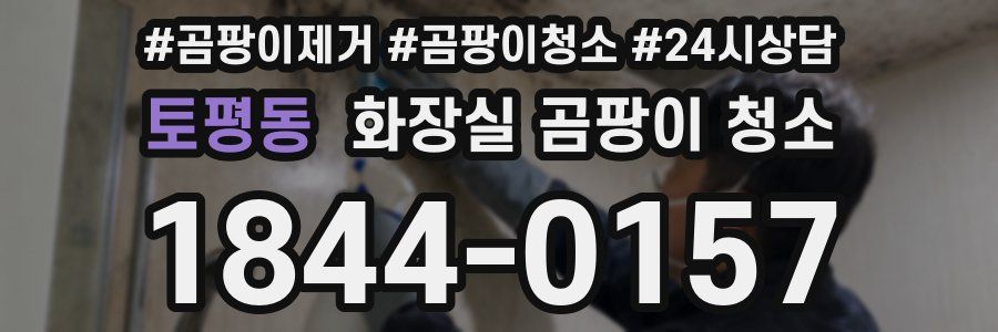 토평동 화장실 곰팡이 청소