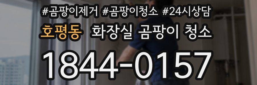 호평동 화장실 곰팡이 청소