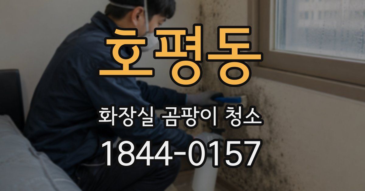 호평동 화장실 곰팡이 청소