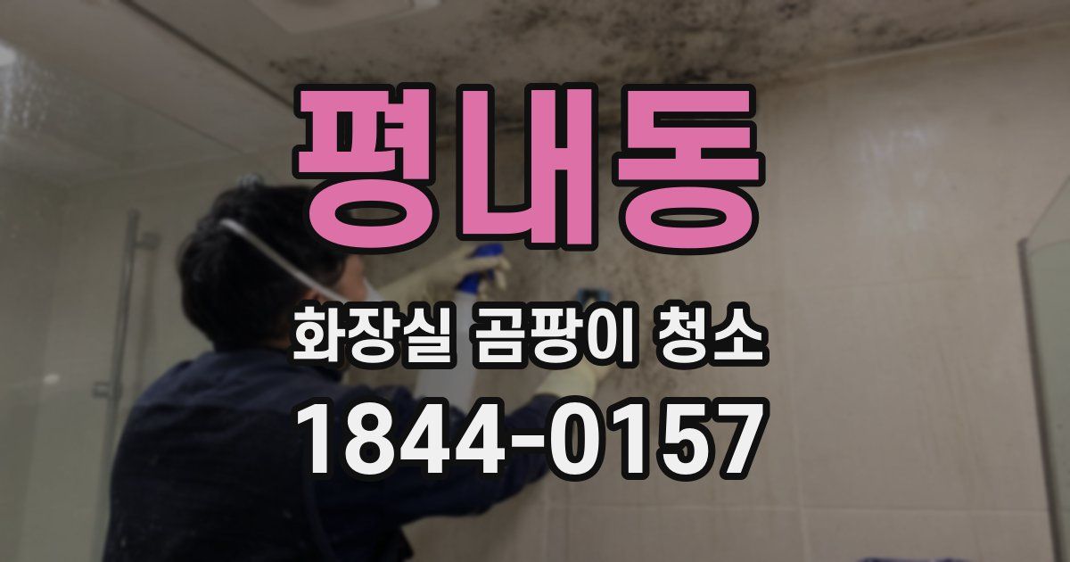 평내동 화장실 곰팡이 청소