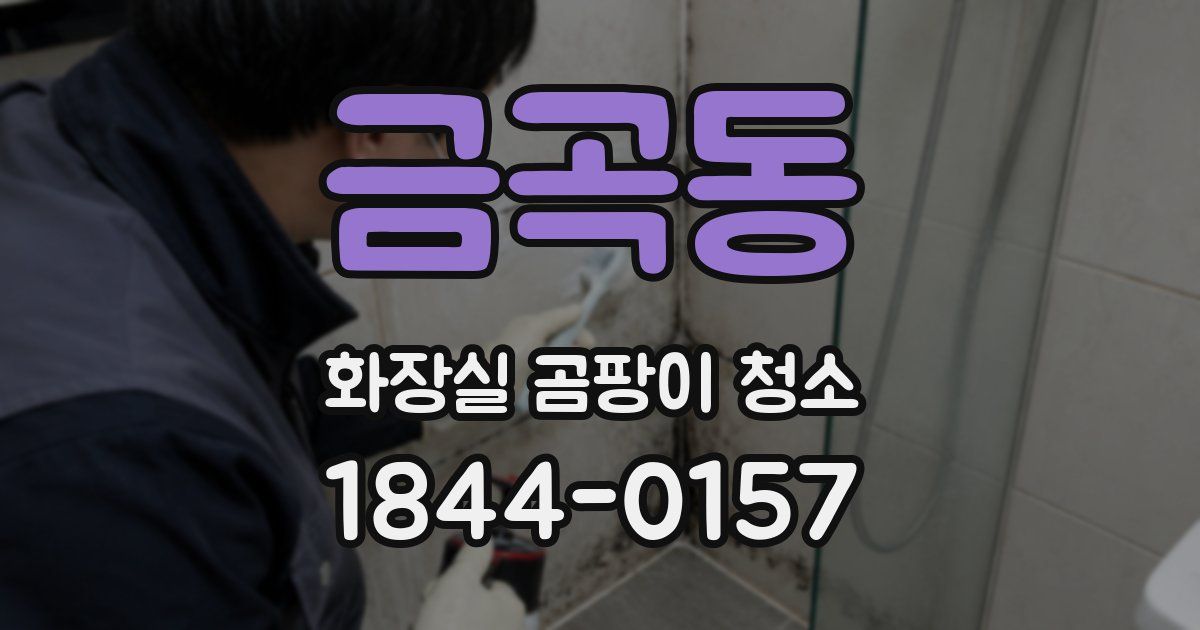 금곡동 화장실 곰팡이 청소