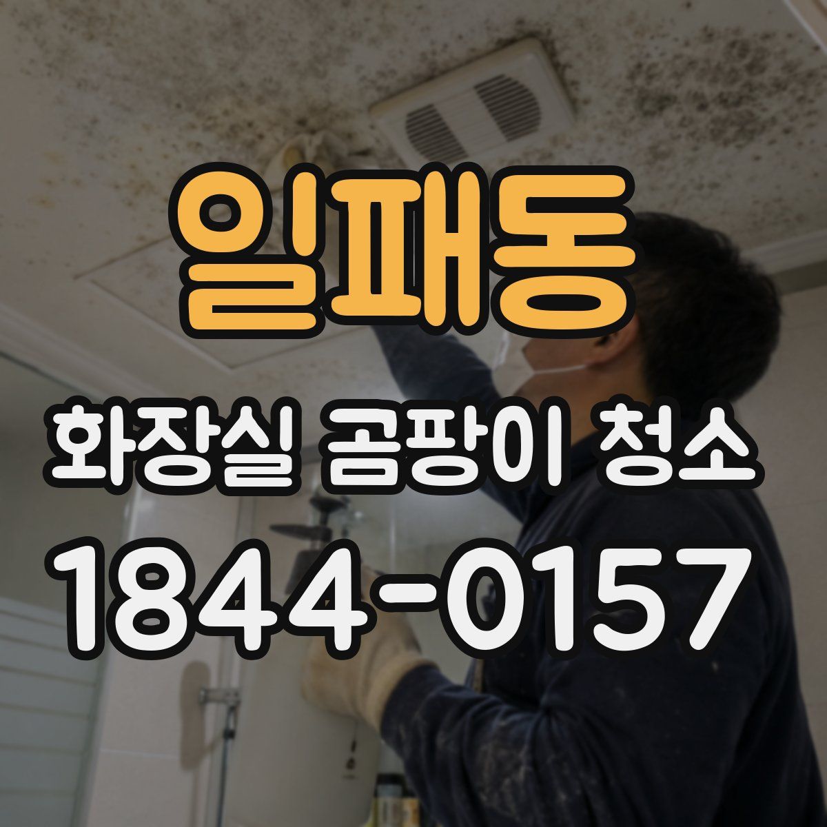 일패동 화장실 곰팡이 청소