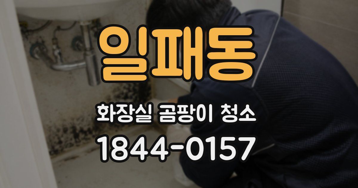 일패동 화장실 곰팡이 청소