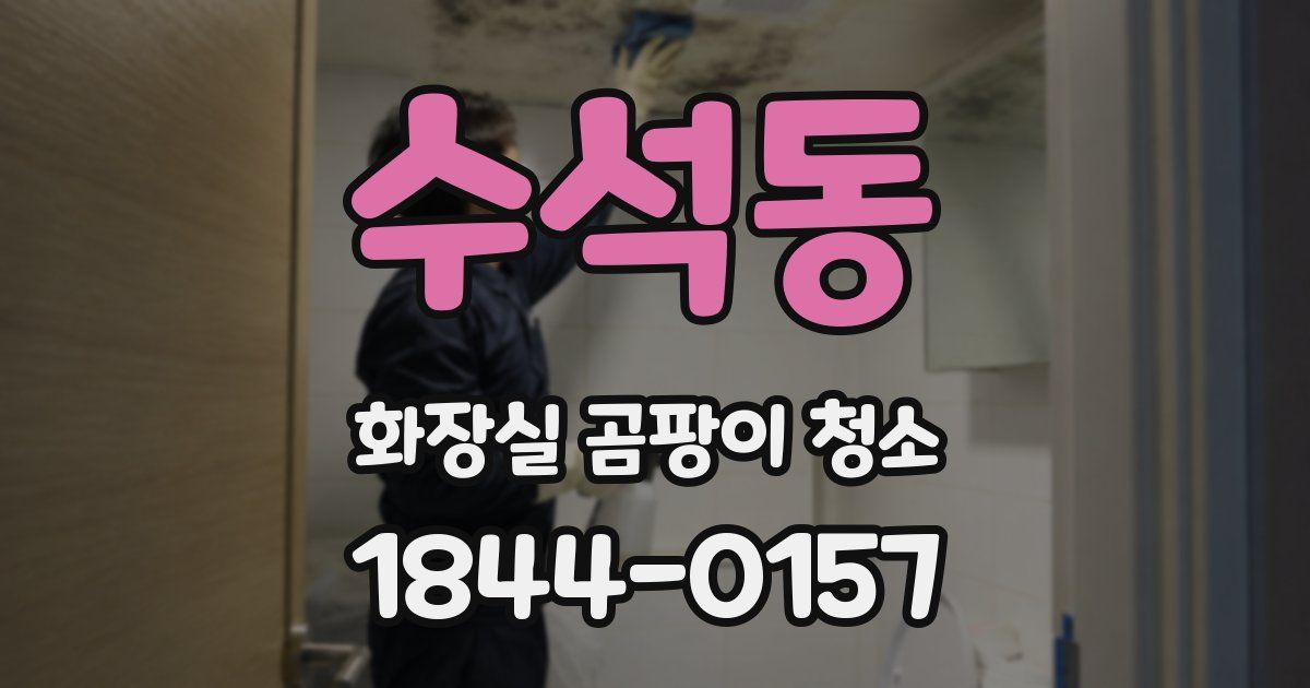 수석동 화장실 곰팡이 청소