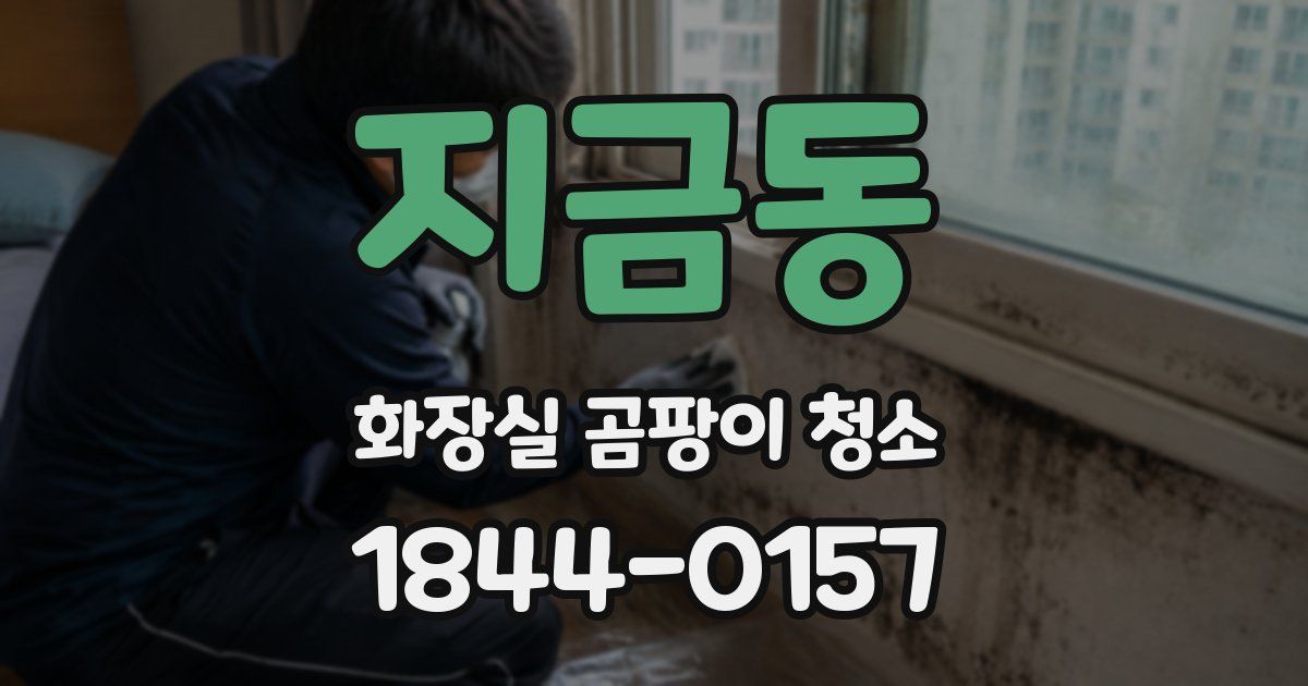 지금동 화장실 곰팡이 청소