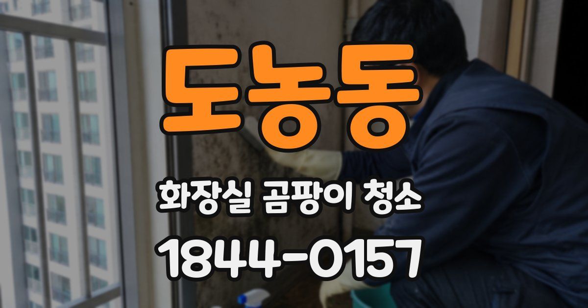 도농동 화장실 곰팡이 청소