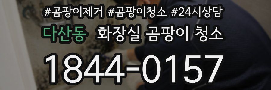 다산동 화장실 곰팡이 청소
