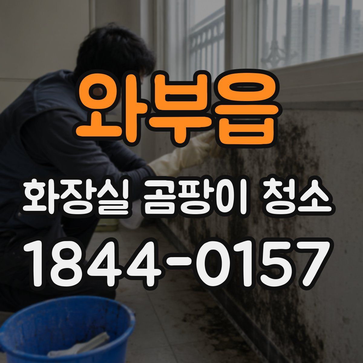 와부읍 화장실 곰팡이 청소