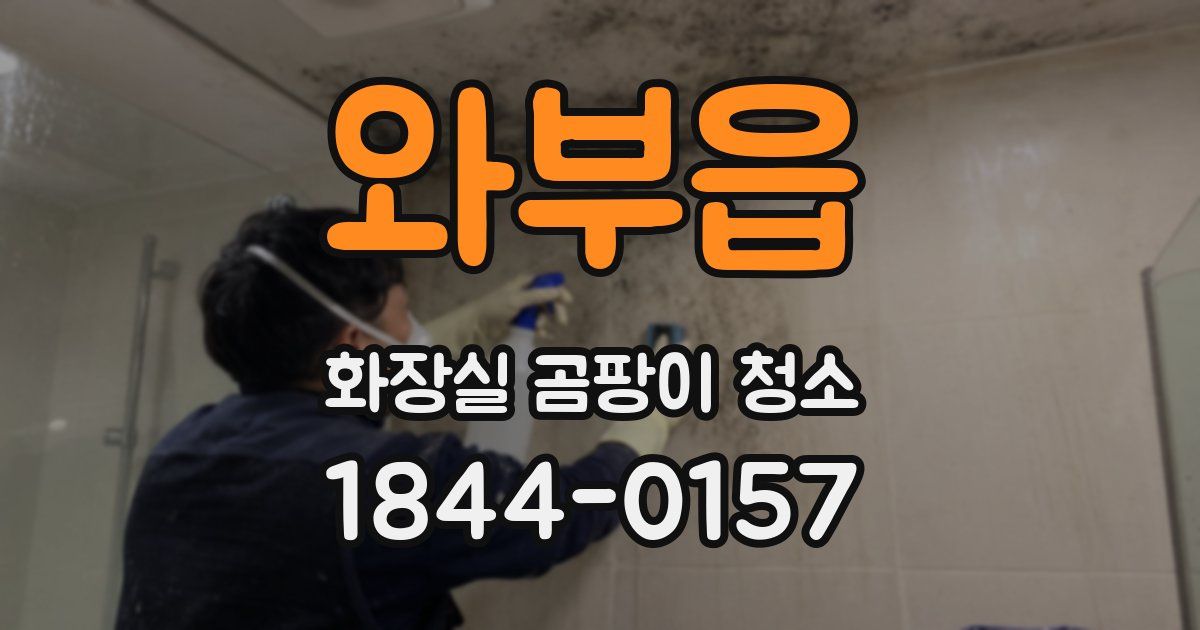 와부읍 화장실 곰팡이 청소