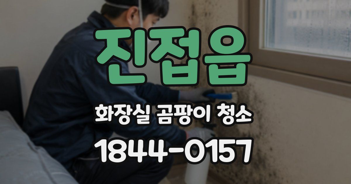 진접읍 화장실 곰팡이 청소