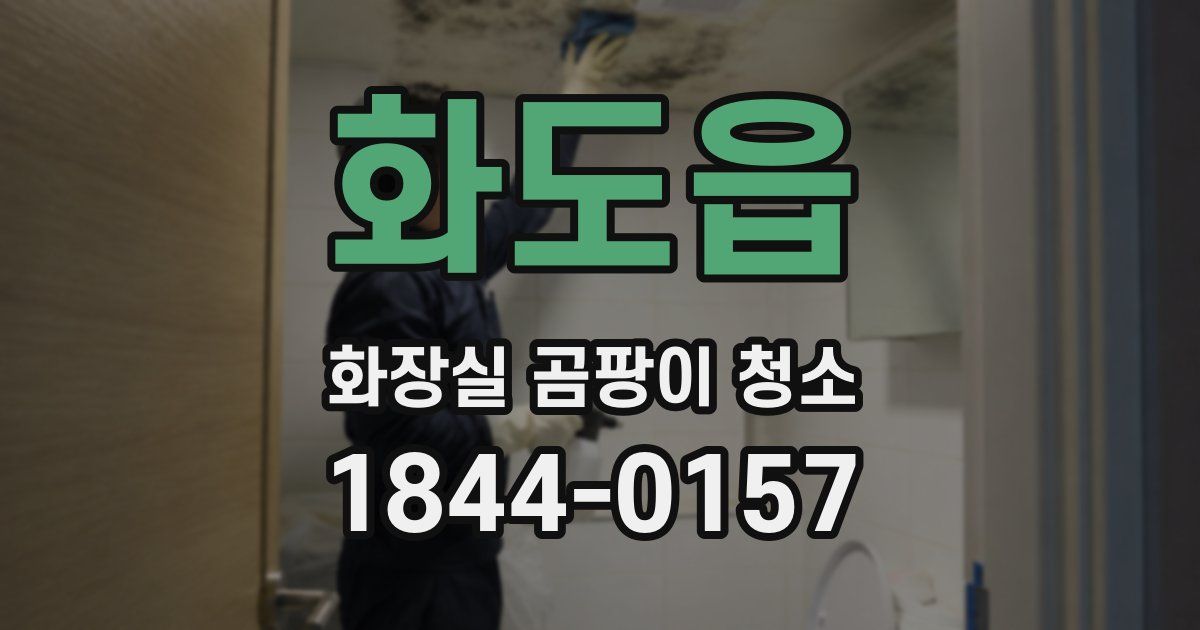 화도읍 화장실 곰팡이 청소