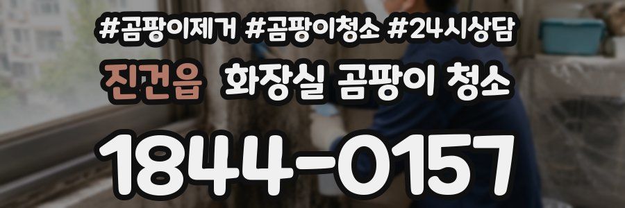 진건읍 화장실 곰팡이 청소