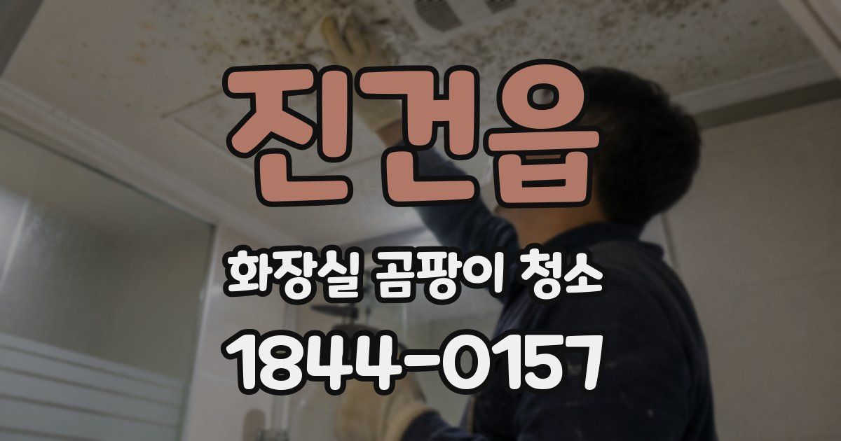 진건읍 화장실 곰팡이 청소