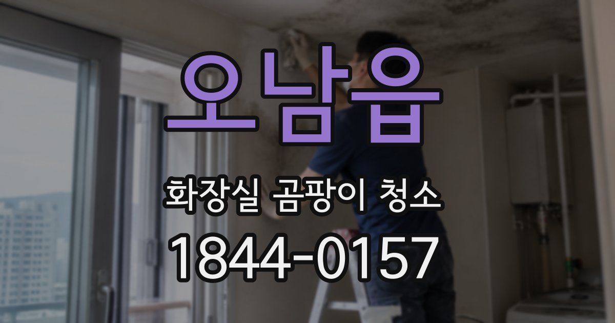 오남읍 화장실 곰팡이 청소