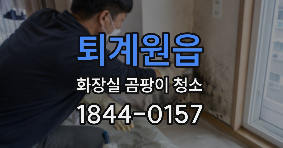 퇴계원읍 화장실 곰팡이 청소
