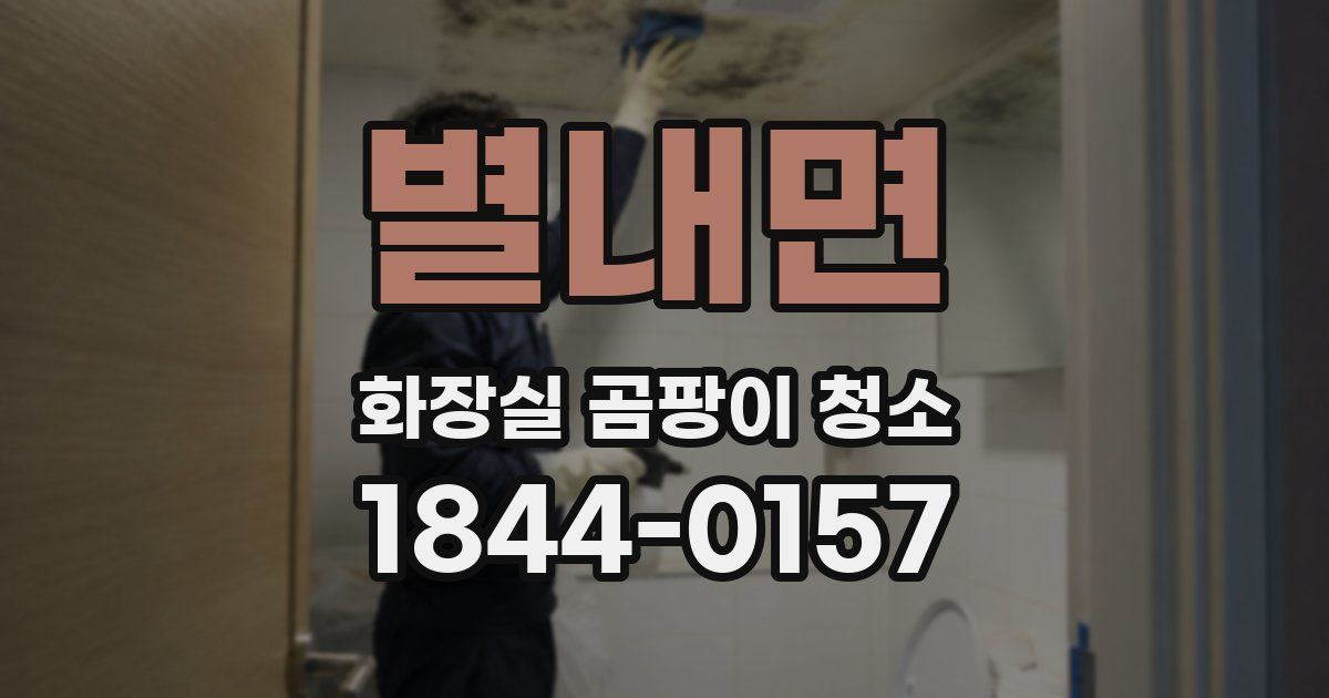 별내면 화장실 곰팡이 청소
