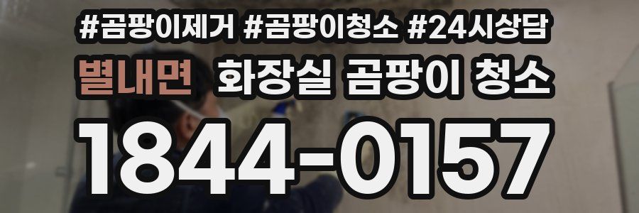 별내면 화장실 곰팡이 청소