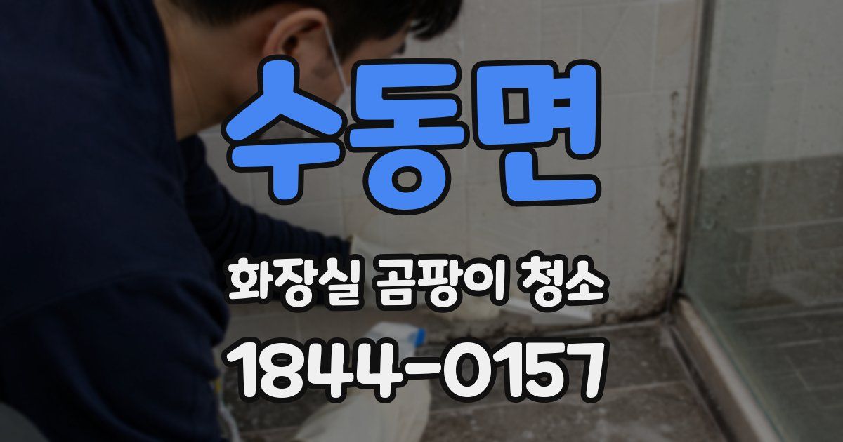 수동면 화장실 곰팡이 청소