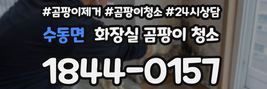 수동면 화장실 곰팡이 청소