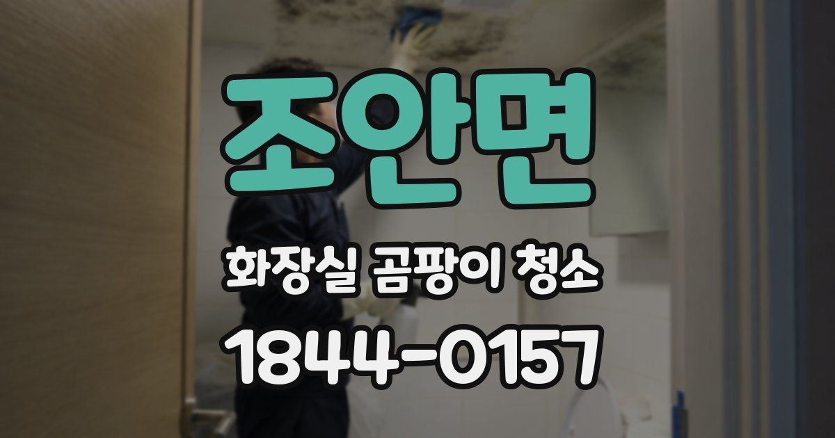 조안면 화장실 곰팡이 청소
