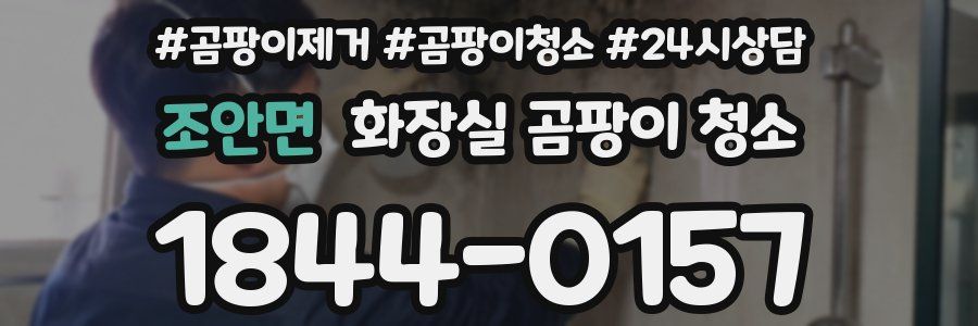 조안면 화장실 곰팡이 청소
