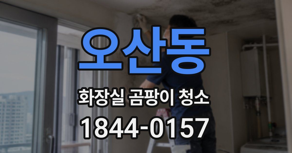 오산동 화장실 곰팡이 청소