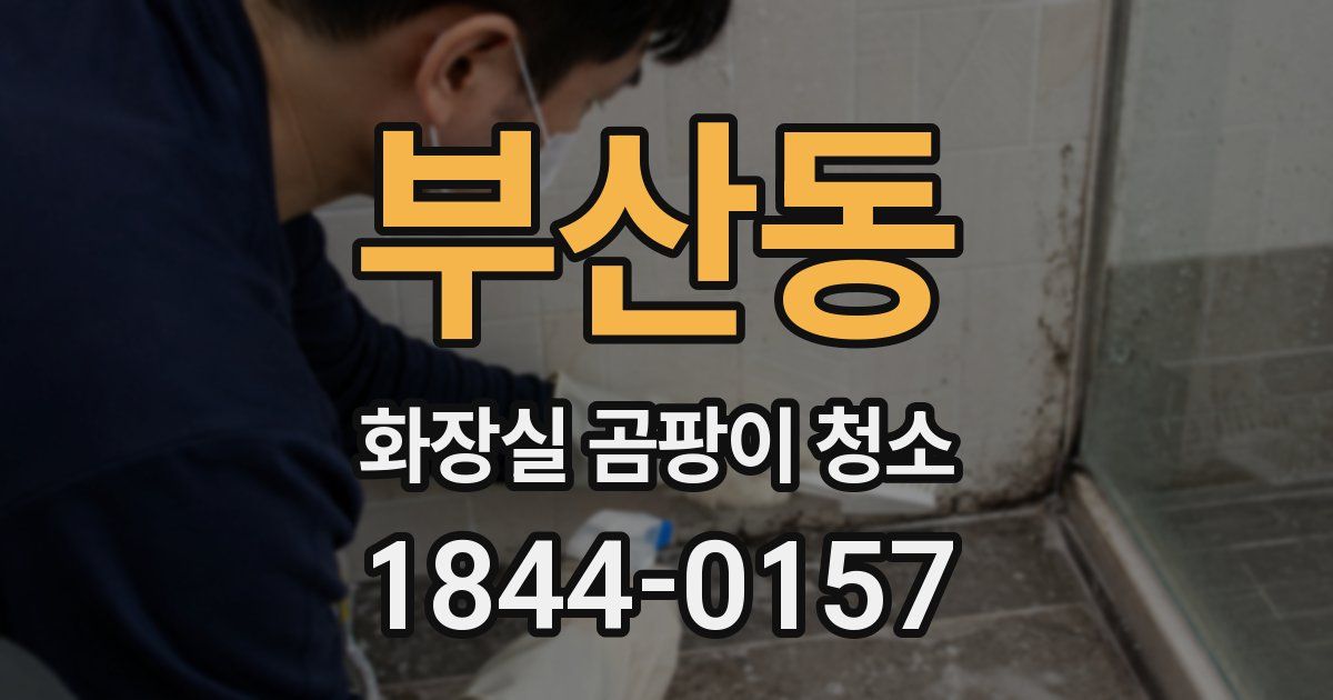 부산동 화장실 곰팡이 청소