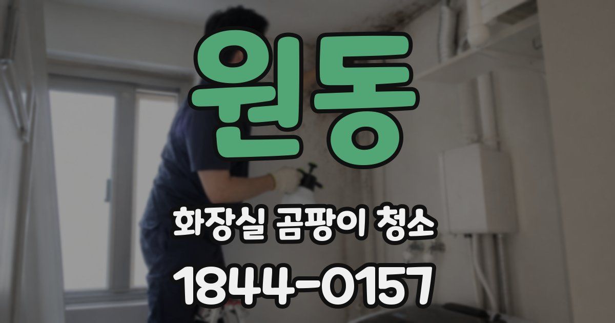 원동 화장실 곰팡이 청소